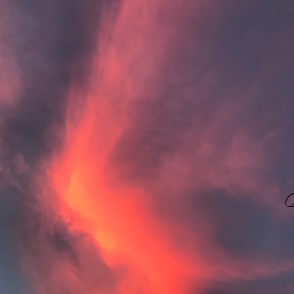 Meet your Posher, Maddie - Picture 1 of 1